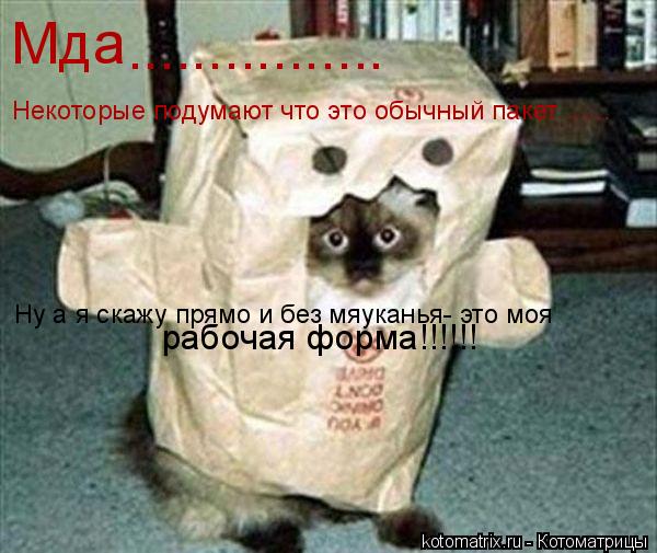Мда ................ Некоторые подумают что это обычный пакет ...... Ну а я скажу прямо и без мяукань... Котоматрица: Мда ................ Некоторые подумают что это обычный пакет ...... Ну а я скажу прямо и без мяуканья- это моя рабочая форма!!!!!!