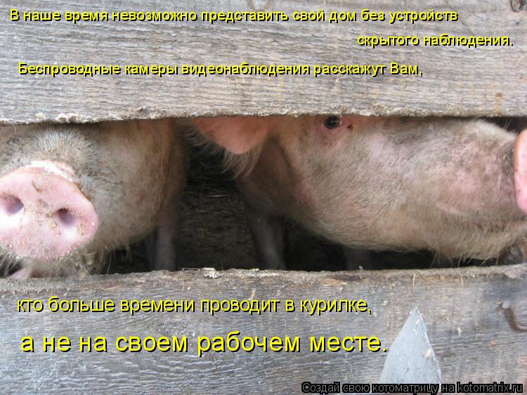 В наше время невозможно представить свой дом без устройств скрытого наблюдения. Беспроводные камеры... Котоматрица: В наше время невозможно представить свой дом без устройств скрытого наблюдения. Беспроводные камеры видеонаблюдения расскажут Вам, кто б