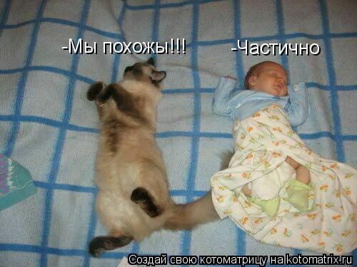 -Частично -Мы похожы!!!... Котоматрица: -Частично -Мы похожы!!!