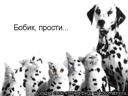 Бобик, прости...... Котоматрица: Бобик, прости...