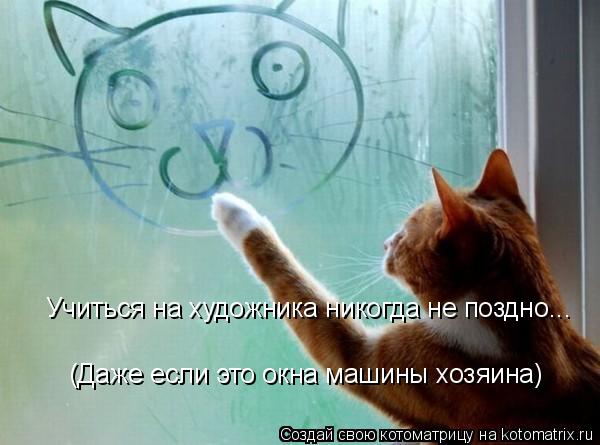 Учиться на художника никогда не поздно... (Даже если это окна машины хозяина)... Котоматрица: Учиться на художника никогда не поздно... (Даже если это окна машины хозяина)