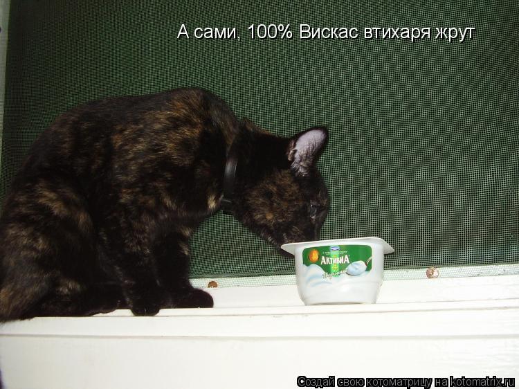 А сами, 100% Вискас втихаря жрут... Котоматрица: А сами, 100% Вискас втихаря жрут