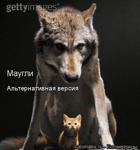 Маугли Альтернативная версия... Котоматрица: Маугли Альтернативная версия