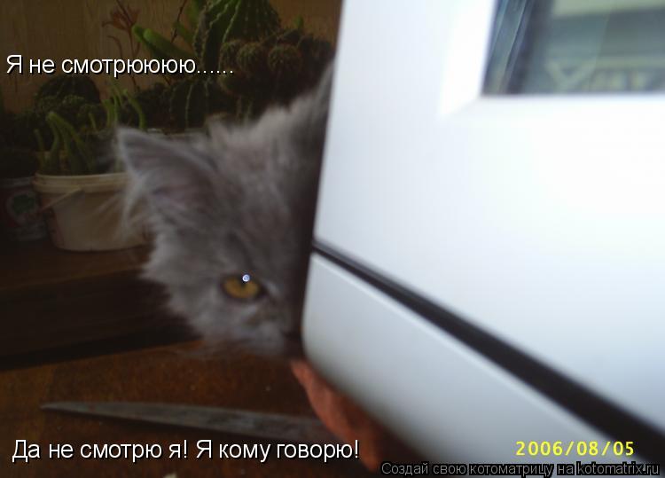 Я не смотрюююю...... Да не смотрю я! Я кому говорю!... Котоматрица: Я не смотрюююю...... Да не смотрю я! Я кому говорю!