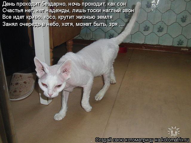День проходит бездарно, ночь проходит, как сон Счастья нет, нет надежды, лишь тоски наглый звон Все и... Котоматрица: День проходит бездарно, ночь проходит, как сон Счастья нет, нет надежды, лишь тоски наглый звон Все идет криво, косо, крутит жизнью земля Зан