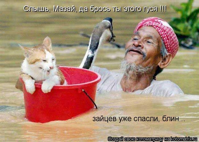 Слышь, Мазай, да брось ты этого гуся !!! Слышь, Мазай, да брось ты этого гуся !!! зайцев уже спасли, ... Котоматрица: Слышь, Мазай, да брось ты этого гуся !!! Слышь, Мазай, да брось ты этого гуся !!! зайцев уже спасли, блин... зайцев уже спасли, блин...