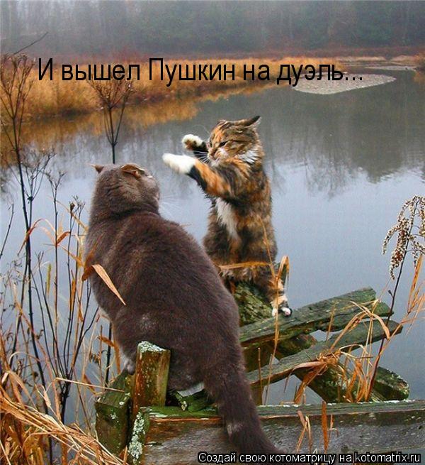 И вышел Пушкин на дуэль...... Котоматрица: И вышел Пушкин на дуэль...