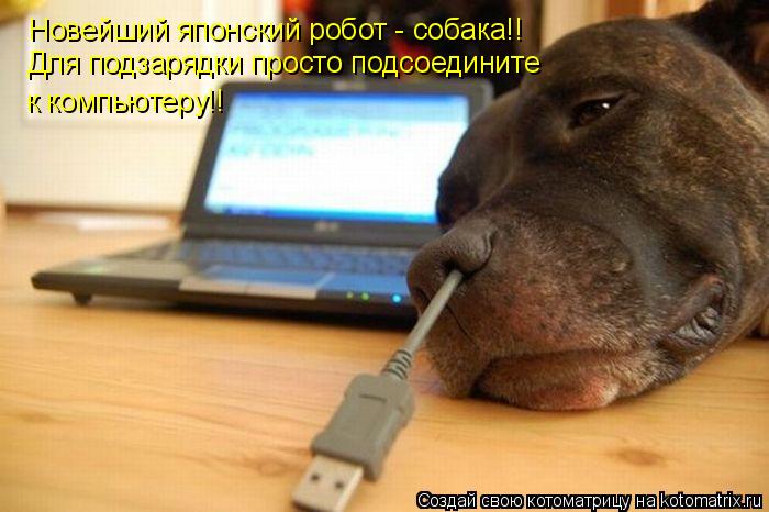 Новейший японский робот - собака!! Для подзарядки просто подсоедините к компьютеру!!... Котоматрица: Новейший японский робот - собака!! Для подзарядки просто подсоедините к компьютеру!!