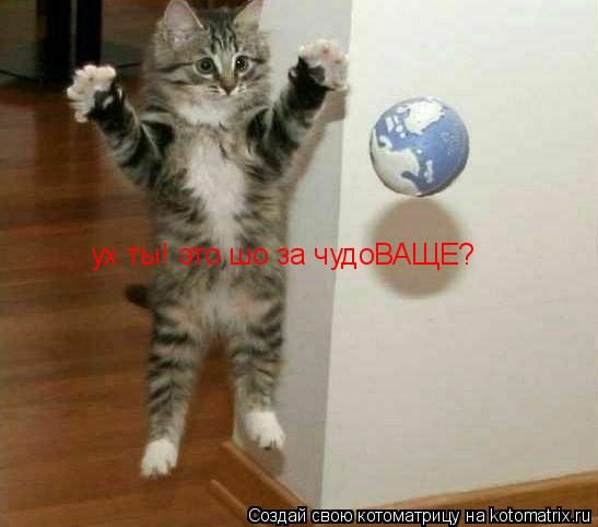 ух ты! это шо за чудоВАЩЕ?... Котоматрица: ух ты! это шо за чудоВАЩЕ?