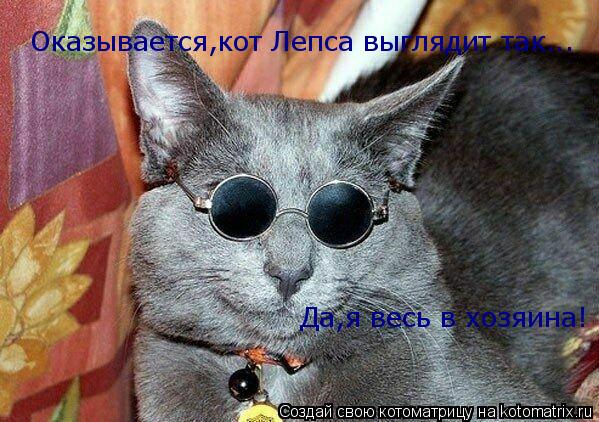 Оказывается,кот Лепса выглядит так... Да,я весь в хозяина!... Котоматрица: Оказывается,кот Лепса выглядит так... Да,я весь в хозяина!