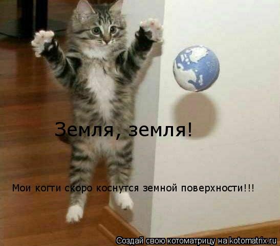 Земля, земля! Мои когти скоро коснутся земной поверхности!!!... Котоматрица: Земля, земля! Мои когти скоро коснутся земной поверхности!!!