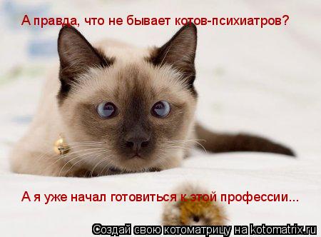 А правда, что не бывает котов-психиатров? А я уже начал готовиться к этой профессии...... Котоматрица: А правда, что не бывает котов-психиатров? А я уже начал готовиться к этой профессии...