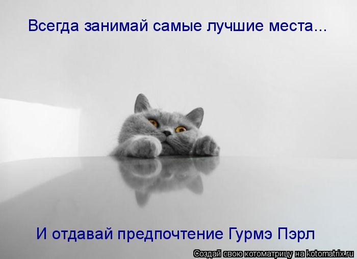 Всегда занимай самые лучшие места... И отдавай предпочтение Гурмэ Пэрл... Котоматрица: Всегда занимай самые лучшие места... И отдавай предпочтение Гурмэ Пэрл