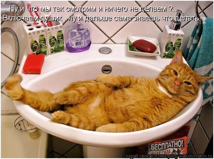Ну и что мы так смотрим и ничего не делаем ?... Включаем душик , ну и дальше сама знаешь что делать..... Котоматрица: Ну и что мы так смотрим и ничего не делаем ?... Включаем душик , ну и дальше сама знаешь что делать...