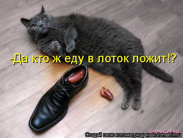 -Да кто ж еду в лоток ложит!?... Котоматрица: -Да кто ж еду в лоток ложит!?