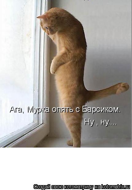 Ага, Мурка опять с Барсиком. Ну , ну....... Котоматрица: Ага, Мурка опять с Барсиком. Ну , ну....