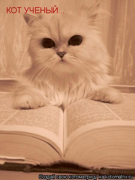 КОТ УЧЕНЫЙ...... Котоматрица: КОТ УЧЕНЫЙ...