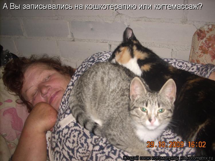А Вы записывались на кошкотерапию или когтемассаж?... Котоматрица: А Вы записывались на кошкотерапию или когтемассаж?