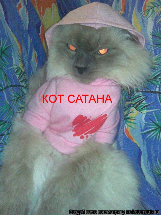 КОТ САТАНА... Котоматрица: КОТ САТАНА