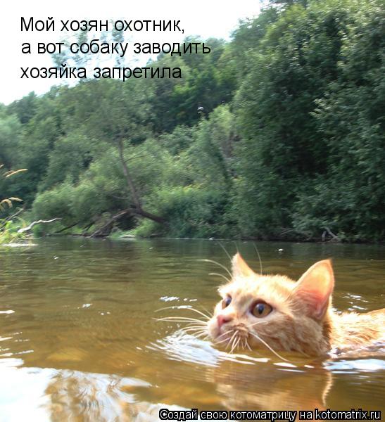 Мой хозян охотник, а вот собаку заводить хозяйка запретила... Котоматрица: Мой хозян охотник, а вот собаку заводить хозяйка запретила