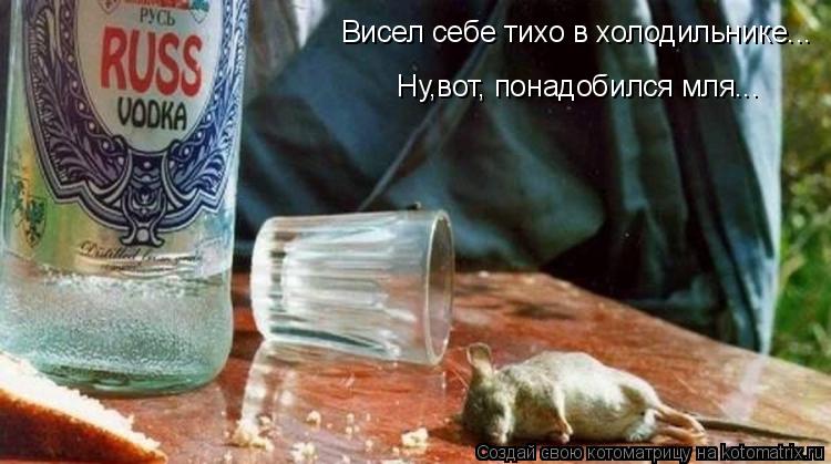 Висел себе тихо в холодильнике... Ну,вот, понадобился мля...... Котоматрица: Висел себе тихо в холодильнике... Ну,вот, понадобился мля...
