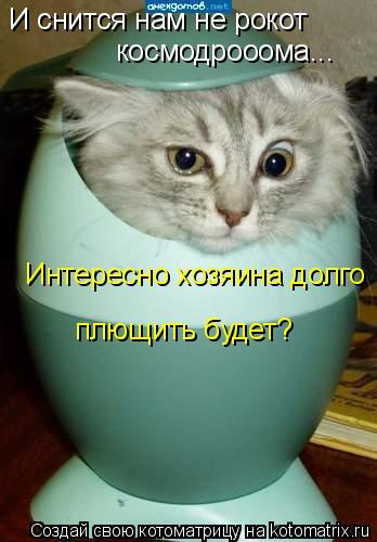 Интересно хозяина долго плющить будет? И снится нам не рокот космодрооома...... Котоматрица: Интересно хозяина долго плющить будет? И снится нам не рокот космодрооома...