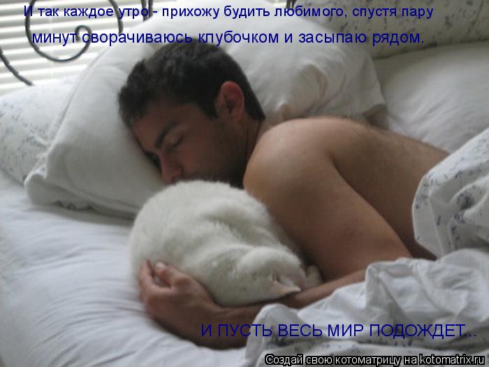 И так каждое утро - прихожу будить любимого, спустя пару минут сворачиваюсь клубочком и засыпаю рядом... Котоматрица: И так каждое утро - прихожу будить любимого, спустя пару минут сворачиваюсь клубочком и засыпаю рядом. И ПУСТЬ ВЕСЬ МИР ПОДОЖДЕТ...
