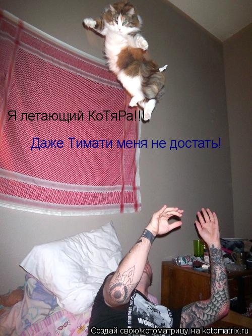 Я летающий КоТяРа!!! Даже Тимати меня не достать!... Котоматрица: Я летающий КоТяРа!!! Даже Тимати меня не достать!