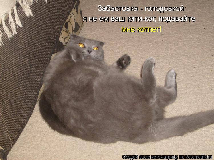 Котоматрица: Забастовка - голодовкой: я не ем ваш кити-кэт, подавайте мне котлет!