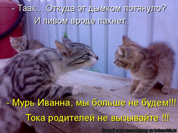 - Таак... Откуда эт дымком потянуло? И пивом вроде пахнет.. - Мурь Иванна, мы больше не будем!!! Тока... Котоматрица: - Таак... Откуда эт дымком потянуло? И пивом вроде пахнет.. - Мурь Иванна, мы больше не будем!!! Тока родителей не вызывайте !!!