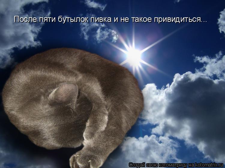 После пяти бутылок пивка и не такое привидиться...... Котоматрица: После пяти бутылок пивка и не такое привидиться...