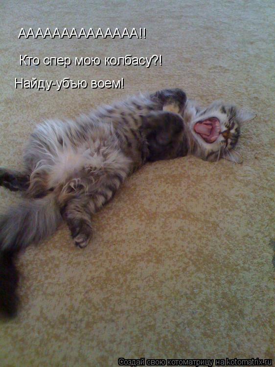 АААААААААААААА!! Кто спер мою колбасу?! Найду-убъю воем!... Котоматрица: АААААААААААААА!! Кто спер мою колбасу?! Найду-убъю воем!