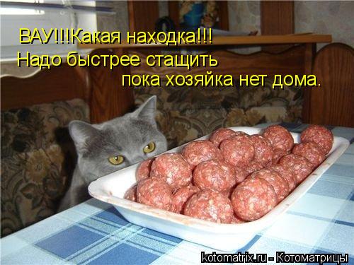 Котоматрица: ВАУ!!!Какая находка!!! Надо быстрее стащить пока хозяйка нет дома.