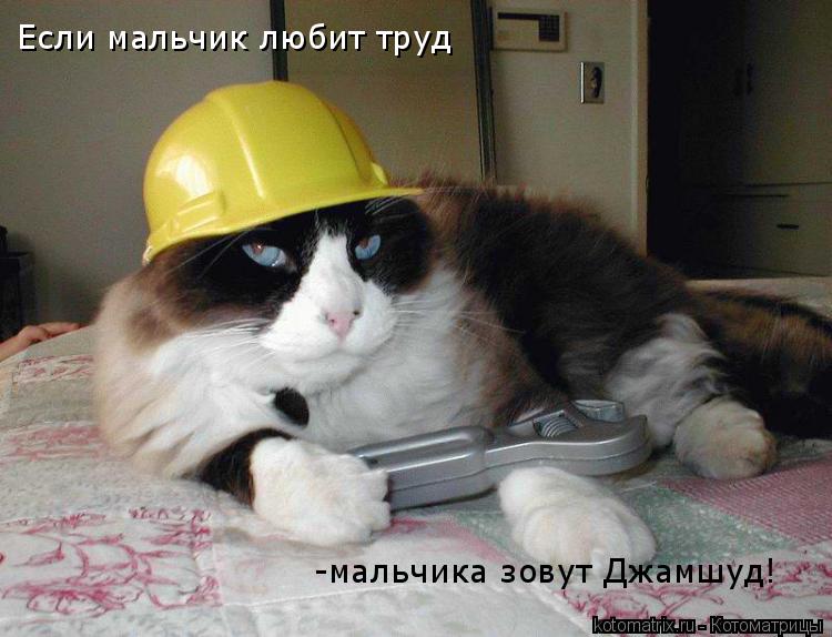 Котоматрица: Если мальчик любит труд -мальчика зовут Джамшуд!