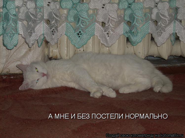 А МНЕ И БЕЗ ПОСТЕЛИ НОРМАЛЬНО... Котоматрица: А МНЕ И БЕЗ ПОСТЕЛИ НОРМАЛЬНО