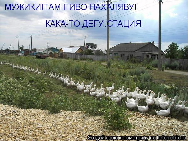 МУЖИКИ!ТАМ ПИВО НАХАЛЯВУ!Кака -то ДЕГУСТАЦИЯ! МУЖИКИ!ТАМ ПИВО НАХАЛЯВУ! КАКА-ТО ДЕГУ..СТАЦИЯ... Котоматрица: МУЖИКИ!ТАМ ПИВО НАХАЛЯВУ!Кака -то ДЕГУСТАЦИЯ! МУЖИКИ!ТАМ ПИВО НАХАЛЯВУ! КАКА-ТО ДЕГУ..СТАЦИЯ