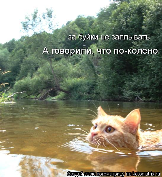 за буйки не заплывать А говорили, что по-колено... Котоматрица: за буйки не заплывать А говорили, что по-колено