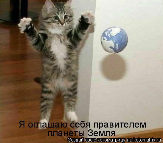 Я оглашаю себя правителем планеты Земля... Котоматрица: Я оглашаю себя правителем планеты Земля