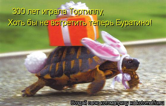 300 лет играла Тортиллу, Хоть бы не встретить теперь Буратино!... Котоматрица: 300 лет играла Тортиллу, Хоть бы не встретить теперь Буратино!