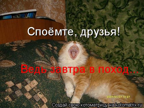 Споёмте, друзья! Ведь завтра в поход...... Котоматрица: Споёмте, друзья! Ведь завтра в поход...