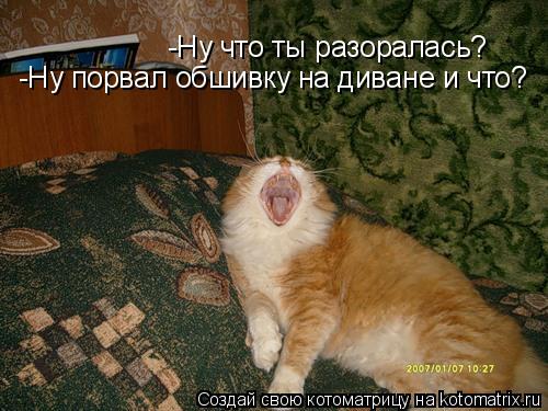 -Ну что ты разоралась? -Ну порвал обшивку на диване и что?... Котоматрица: -Ну что ты разоралась? -Ну порвал обшивку на диване и что?
