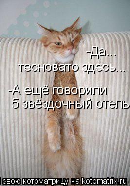 -Да... тесновато здесь... -А ещё говорили 5 звёздочный отель...... Котоматрица: -Да... тесновато здесь... -А ещё говорили 5 звёздочный отель...