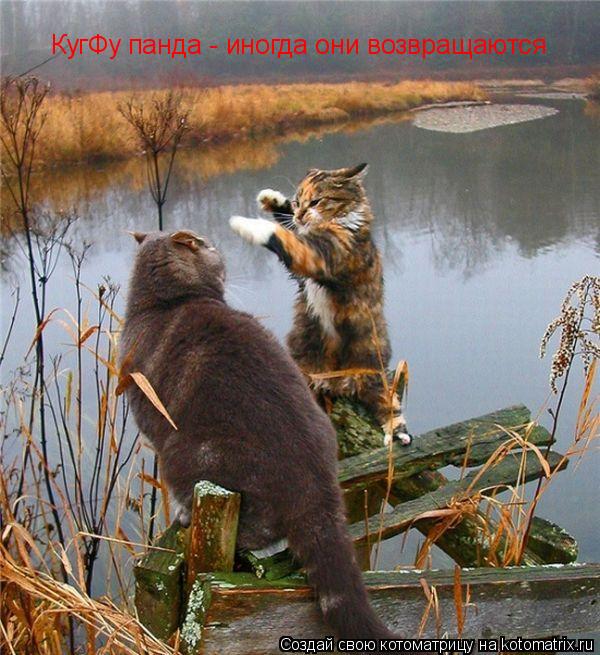 КугФу панда - иногда они возвращаются... Котоматрица: КугФу панда - иногда они возвращаются