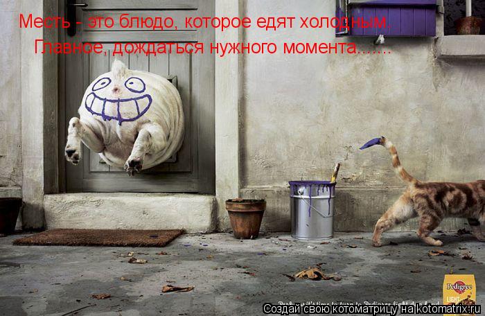 Месть - это блюдо, которое едят холодным. Главное, дождаться нужного момента.......... Котоматрица: Месть - это блюдо, которое едят холодным. Главное, дождаться нужного момента.......