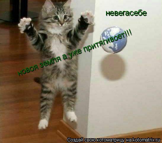 невегасебе новоя земля а уже притягивоет!!!... Котоматрица: невегасебе новоя земля а уже притягивоет!!!