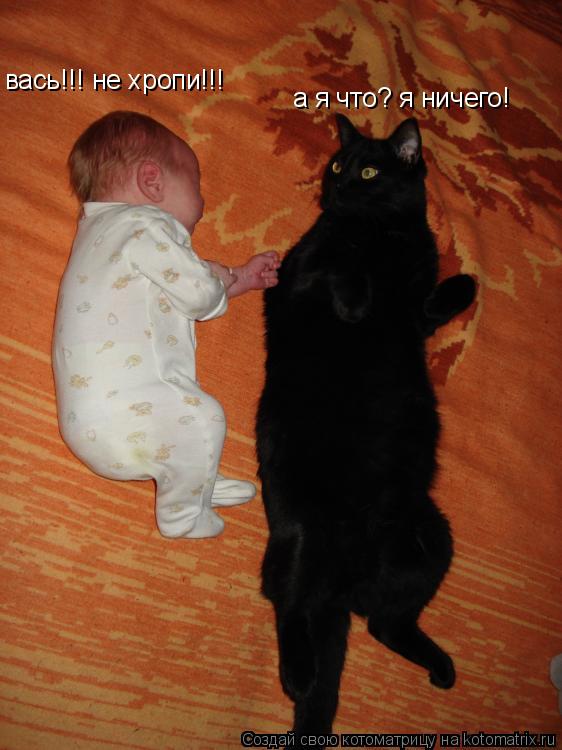 вась!!! не хропи!!! а я что? я ничего!... Котоматрица: вась!!! не хропи!!! а я что? я ничего!