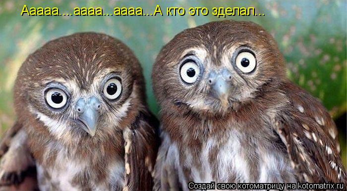 Ааааа....аааа...аааа...А кто это зделал...... Котоматрица: Ааааа....аааа...аааа...А кто это зделал...