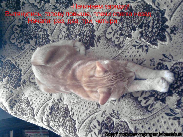 -Начинаем зарядку! Вытянулись, голову повыше, плечи слегка назад Начали! раз, два, три, четыри...... Котоматрица: -Начинаем зарядку! Вытянулись, голову повыше, плечи слегка назад Начали! раз, два, три, четыри...