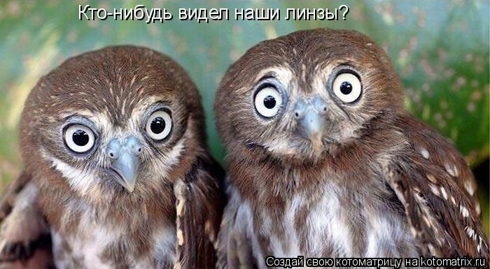 Кто-нибудь видел наши линзы?... Котоматрица: Кто-нибудь видел наши линзы?