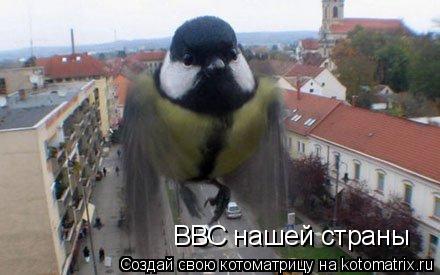 ВВС нашей страны... Котоматрица: ВВС нашей страны